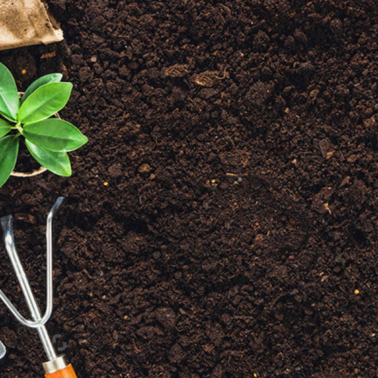 Grind Compose Suppliers of Compost, Topsoil & Garden Products | Enviro Grind Ltd